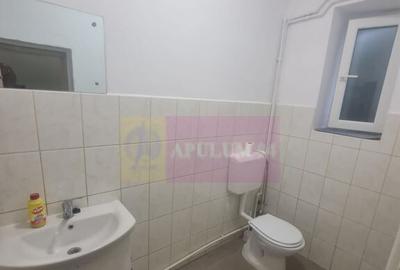 Casa de vanzare in Campina (spatiu comercial) - Zona Lidl - 12