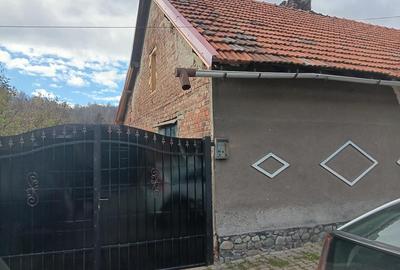 Casă cu 2 camere în Dâlja Mică - 8