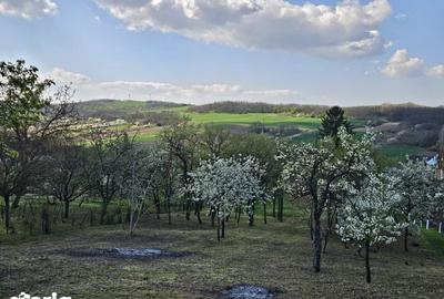 Casă cu 2 camere cu Teren 50 Mp în Sârbi - 6