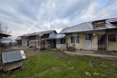 Casa cu teren generos ?i balta de pescuit Gae?ti - 15