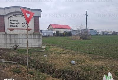 Spațiu comercial, în Palanca - 3
