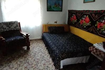 Casă cu 4 camere cu Teren 1200 Mp în Cotorca - 3