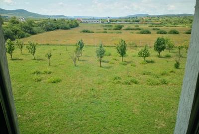 Casă cu 5 camere în Central