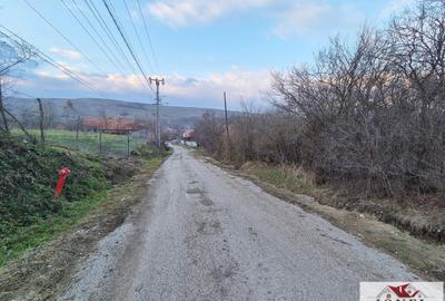 Teren intravilan de vanzare in Berghin- Henig - 2