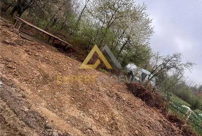 Teren de 1000 mp, în Groși - 2