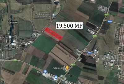 Teren de 19500 mp, în 6 Vânători - 1