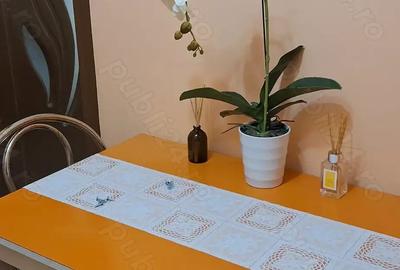 Apartament 2 camere, Dambu, confortabil,bine utilat,mobilat - 5