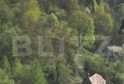 Casa 3 camere + teren 345 mp Schei, Bra?ov - 5