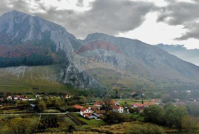 Teren 1.489 mp Rimetea cu Autorizatie de Constructie - 4