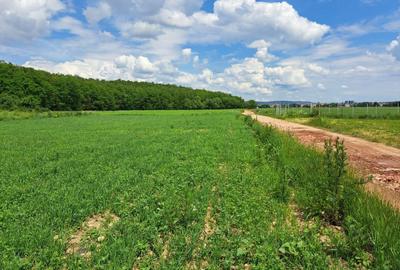 Teren agricol extravilan de 1010 mp, în Turnișor - 3