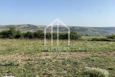 Teren de 489 mp, în Roșia - 3