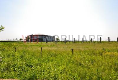 Teren intravilan situat in zona Padurea Baneasa - 2