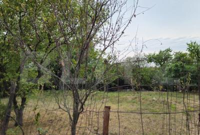 Teren de 17524 mp, în Viforâta - 1