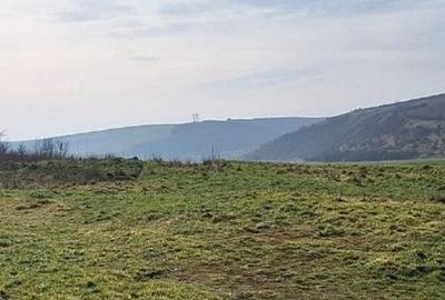 Teren de 18800 mp, în Deleni - 7