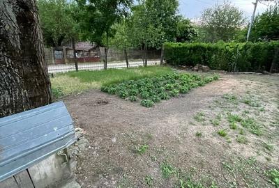 Casă cu 3 camere în Calopăr - 12
