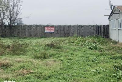 Teren de 4469 mp, în Topraisar - 5