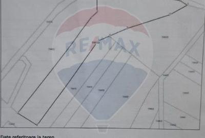 Teren extravilan, faneata, 4000 mp, Tarlungeni - 3