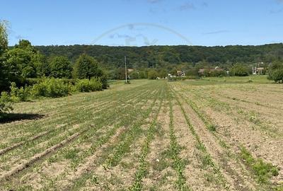 Teren intravilan 7.295 mp – Argeselu, Maracineni, AG - 7