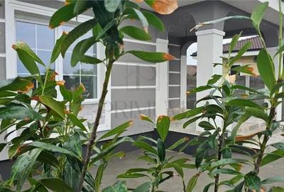 Casă cu Teren 500 Mp în Sânmihaiu Român - 2