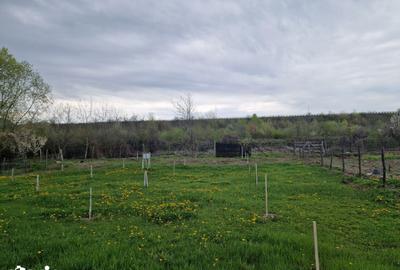 Teren de 1809 mp, în Moțăieni - 3