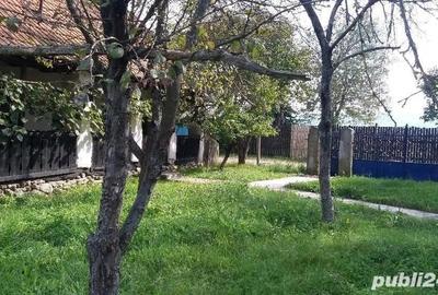 Casă cu 4 camere în Bretea Streiului - 4