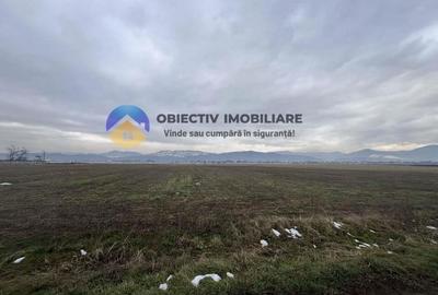 Teren de 4500 mp, în Dumbrava - 1