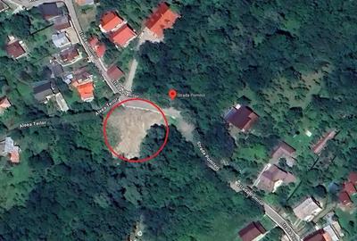 Teren de 1800 mp, în Cornu - 2