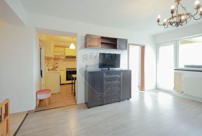 Apartament cu 3 camere semidecomandat, mobilat în Nufărul - 10