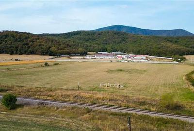 FILM! 60.000 mp, teren intravilan, acces la DN1, Codlea, Brasov - 11