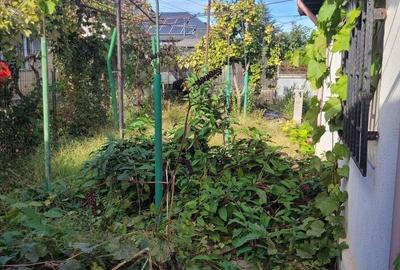 UNICAT! CASA CU TEREN 900MP ZONA COICIU - 10