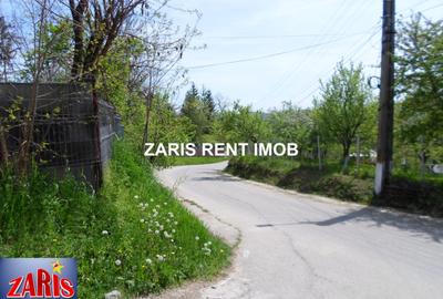 Teren Construcții intravilan de 3658 mp, în Predeal-Sărari - 11