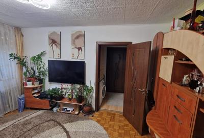 Apartament cu 2 camere semidecomandat, mobilat în Brazda lui Novac - 2