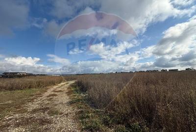 Comision 0%! Lot de casa in zona de dezvoltare, intre Sanpetru si Bod - 4