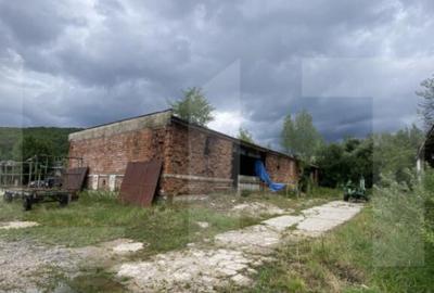 Proprietate industriala multifunc?ionala cu poten?ial fo - 1