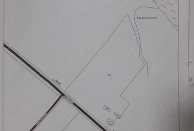 Teren de 35500 mp, în Zamostea - 1