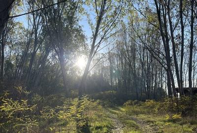 Teren de 25000 mp, în Țiglina 1 - 2