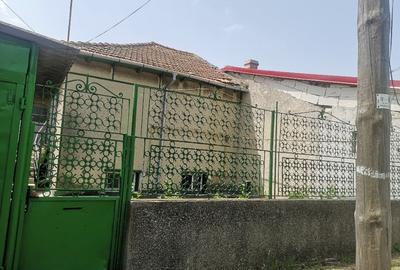 Casa de vanzare in Viile Noi - 14