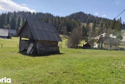 Casă cu 7 camere cu Teren 7553 Mp în Gârda de Sus - 12