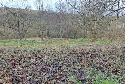 Teren de 4300 mp, în Ciurila - 2