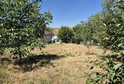 Casa saseasca de vanzare Zabrani, Arad - 9