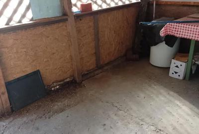 Apartament cu 3 camere în Porțile de Fier II - 9