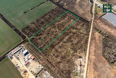 Teren intravilan cu PUZ aprobat - 23700 mp - Ghiroda - Timiș - 8