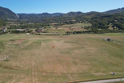 Teren de 14500 mp, în Sud - 3