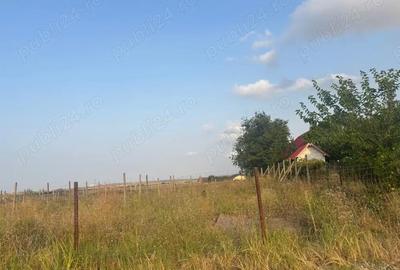 Teren de 5000 mp, în Mineri - 4