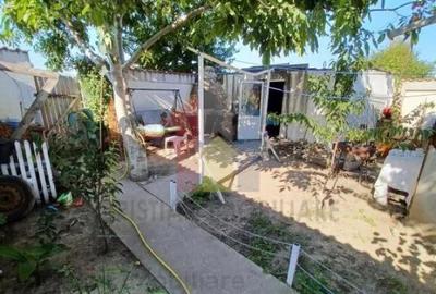 Vila P M 240mp utili si 400mp teren Radu Negru Vila P M 240mp utili si 400mp teren Radu Negru - 17