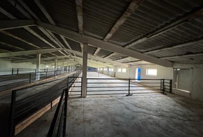 Proprietate specială, de 4,850 mp, în Vitănești - 9