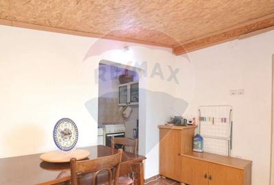 Teren 1944 mp + Casa - 65 mp, Darasti-Vlasca Giurgiu/ 20 ... - 2