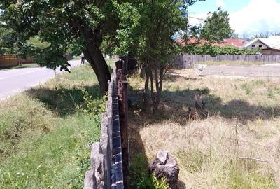 Teren intravilan 1570 mp in sat Magura (Hulubesti), Dambovita, deschidere 31ml - 3