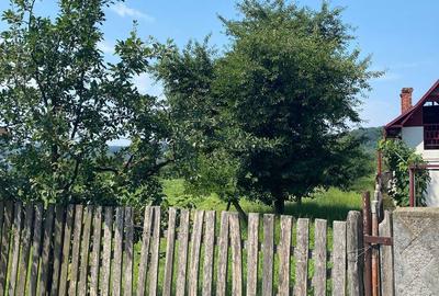 Teren de 2640 mp, în Albești - 2