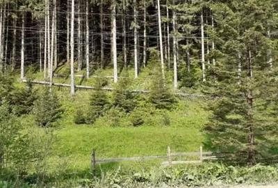 Teren de 2 mp, în Iedu - 9